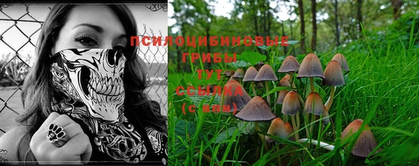 ПСИЛОЦИБИНОВЫЕ ГРИБЫ Алексеевка