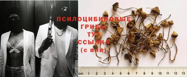 скорость Арсеньев